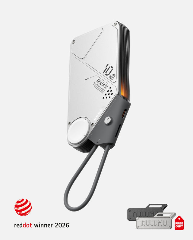 Power Bank Aulumu M10 10000 mAh