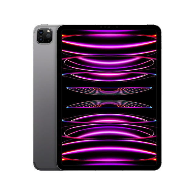 iPad Pro 11" 3rd Gen (2021) Gris espacial