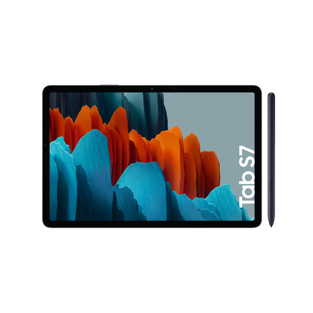 Reparar Samsung Galaxy Tab S7 (T870)