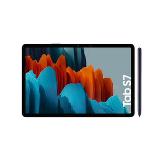 Reparar Samsung Galaxy Tab S7 (T870)