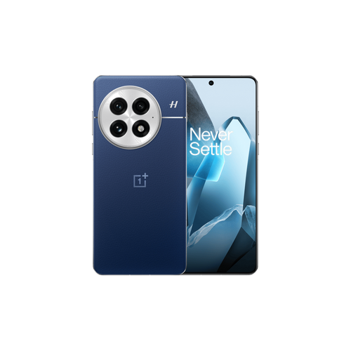 OnePlus 13