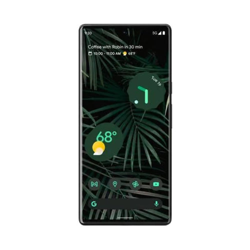 Google Pixel 6 Pro
